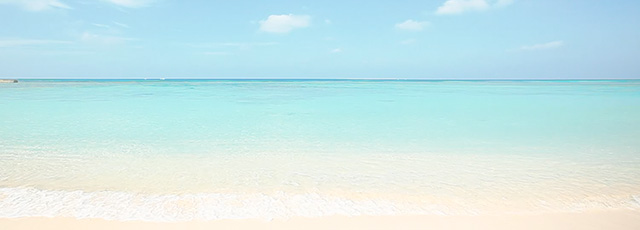 沖縄旅行 Okinawa Trip